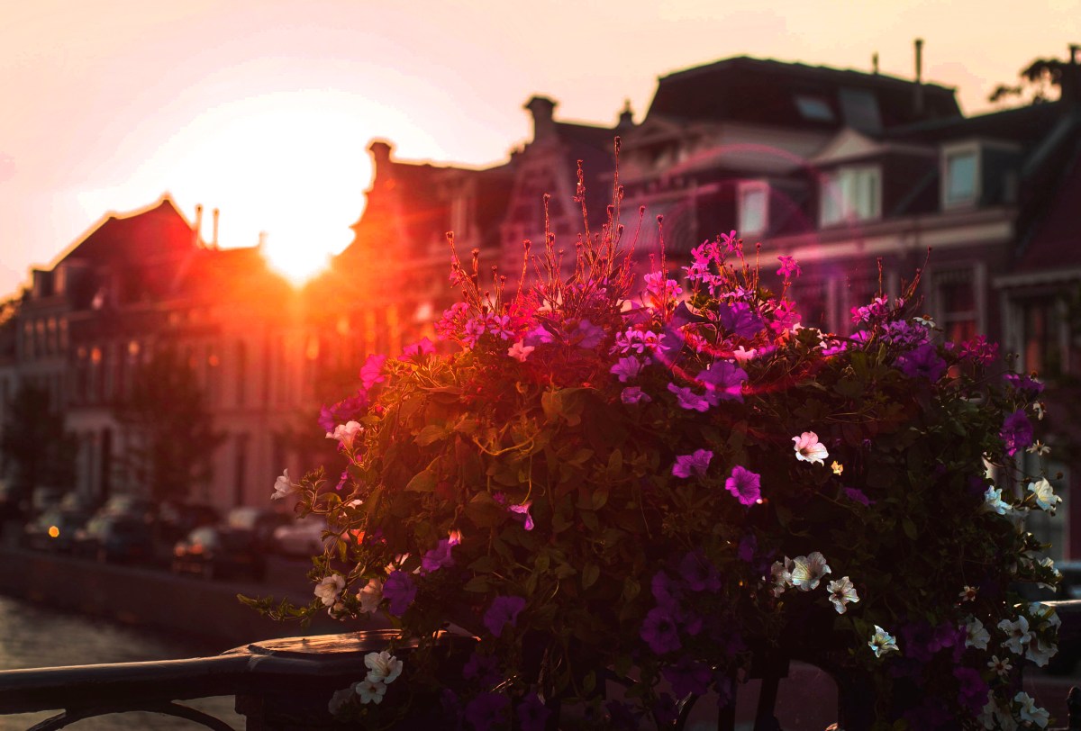 ferie 2018_4_dsc32302