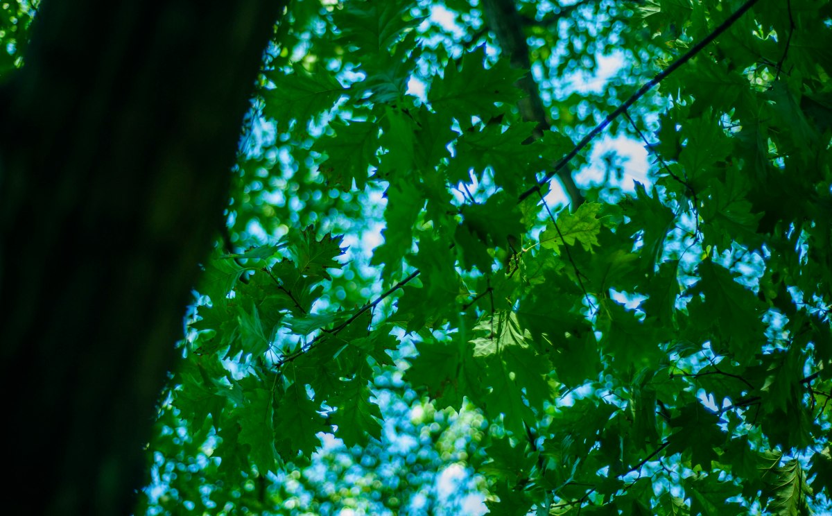 New York_5__DSC7461_40_NETT